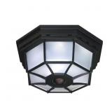 360ï¿½ 4-LIGHT BLACK MOTION ACTIVATED OCTAGONAL CEIL