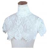 DETACHABLE FAKE COLLAR HALF SHIRT SHEER EYELASH FL