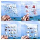ACRYLIC MAGNETIC SEASHELL DISPLAY CASE HD PANEL WI