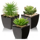 HOLLYONE SMALL SUCCULENTS ARTIFICIAL 3 PCS FAUX SU