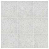 $3182 (X 360 SQ. FT.) BAJA GRAY 12X12 MATTE TILE
