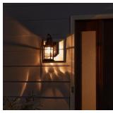 ALLEN + ROTH BERLIN 1-LIGHT 12.6-IN BLACK MOTION S