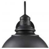 $228 ML LIGHTING | ADDA COLLECTION | 81102-PBK | O
