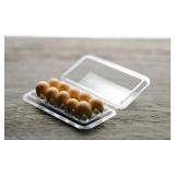 10 CHICKEN EGGS CARTON GARDEN DISPLAY MINIMAL DECO