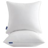 MIULEE 18X18 INCH PILLOW INSERTS PACK OF 2 WITH 10