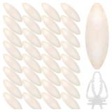 40 PCS CUDDLE BONE CUTTLEFISH BONE 3.0" TO 3.5" CU