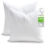 TOPGREEN FEATHER DOWN THROW PILLOW INSERTS 20 X 20
