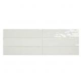 2-3/8 IN. X 9-5/8 IN. GLAZED PORCELAIN WALL SAMPLE