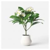 26" ARTIFICIAL POTTED PLUMERIA - THRESHOLD