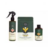 WE THE WILD HOUSEPLANT TASTER KIT