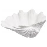 MEDIUM WHITE SCALLOPED CLAM SHELL BOWL SEA SHELL D