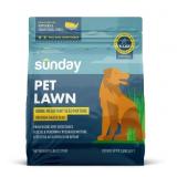 SUNDAY ALL GRASSES FULL SUN/LIGHT SHADE PET/DOG SP