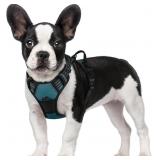 RABBITGOO DOG HARNESS, NO PULL FOR SMALL DOGS WITH