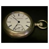 Elgin National Watch Co. Pocket Watch (Am. Austin)
