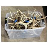 Lot of Various Antlers