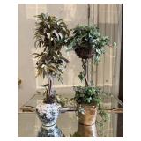 Pair of Topiaries