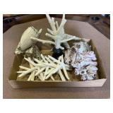 Flat of Ocean/Coastal Décor Items