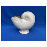 Nautilus Shell Planter/Vase