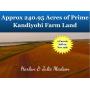 HARLAN & JULIE MADSEN FARM LAND AUCTION