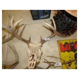 DEER HEAD