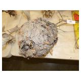 HORNETS NEST