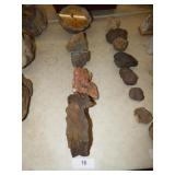 GEODES & PETRIFIED ROCKS