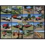 Complete Farm Retirement Absolute Live Auction