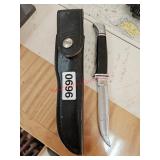 Buck knife with sheath- train room