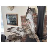 Red Tailed Hawk Taxidermy Mount  (Living Room)