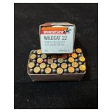 Winchester wildcat 22 high velocity long rifle