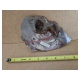 Petrified wood- living room