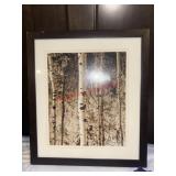 Framed Photo of Scenic woods