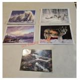 Animal Themed Postcard lot (Downstairs left)