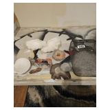Shells, rocks, driftwood, sand dollar, seahorse