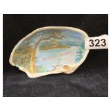 Painted Seashell from Whidbey Island, Washington