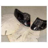 Natural Carved Hooves & Sand Dollars lot