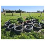 Car/truck tires for goat play, planters, or
