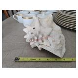 Conch shell- living room