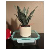 Home Decor and Glass Food Storage