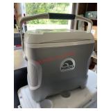 Igloo car ice chest (garage)