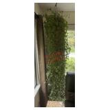 Hanging English Ivy (living room)