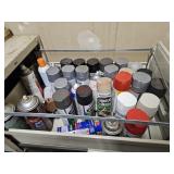 Drawer of spray paint- garage