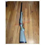 Air Rifle Holds Air but no Clip