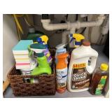under Sink Chemicals Lot                (kitchen)