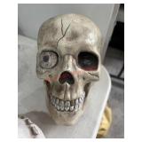 Hollow Decorative Skull