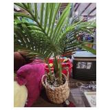 Faux Plant