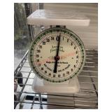 American Family Food Scale