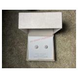 Womanï¿½s earrings (in tote)
