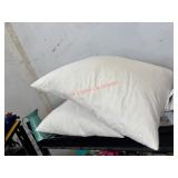 20in X 20in  IKEA Down Pillows