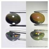 0.79ct 7.7x6mm Oval Cabochon Natural Black Opal -
